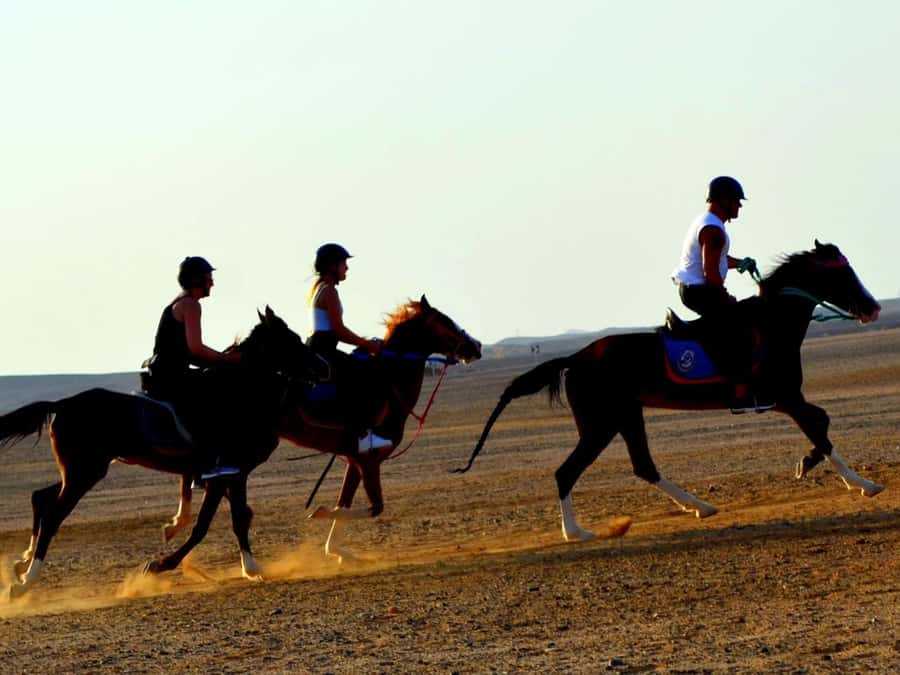Marsa Alam: Sunset Horseback with Dinner, Show & Stargazing - The VIP four-hour ride and horse swim