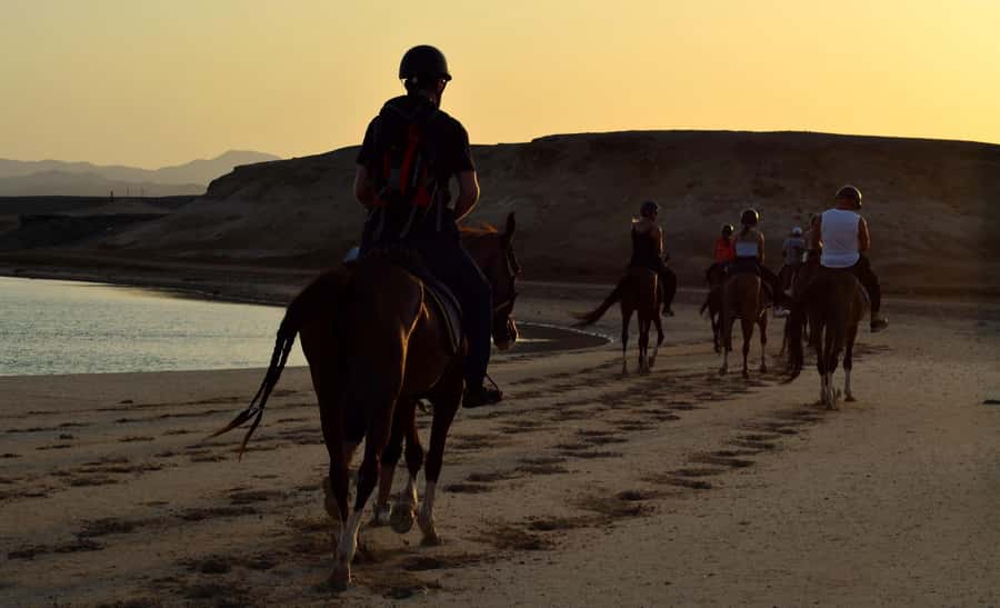 Marsa Alam: Sunset Horseback with Dinner, Show & Stargazing - Choosing your pickup and timing