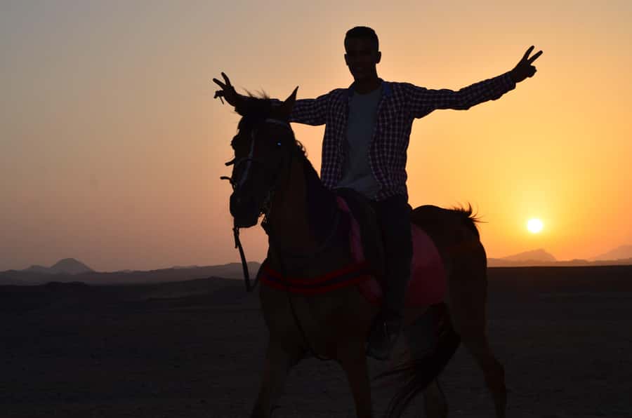 Marsa Alam: Sunset Horseback with Dinner, Show & Stargazing - Is the $29 price good value?