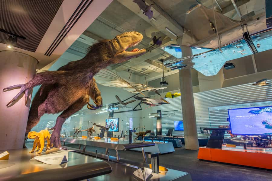 Miami: Frost Museum of Science and Planetarium Entry Ticket - A science museum built for curious families