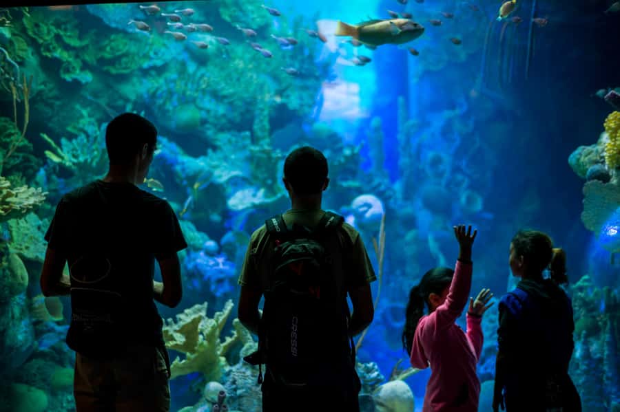 Miami: Frost Museum of Science and Planetarium Entry Ticket - How long should you stay?