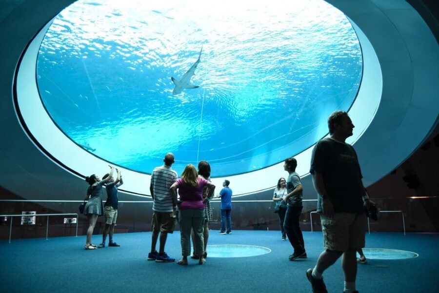 Miami: Frost Museum of Science and Planetarium Entry Ticket - Is the $30 ticket good value?
