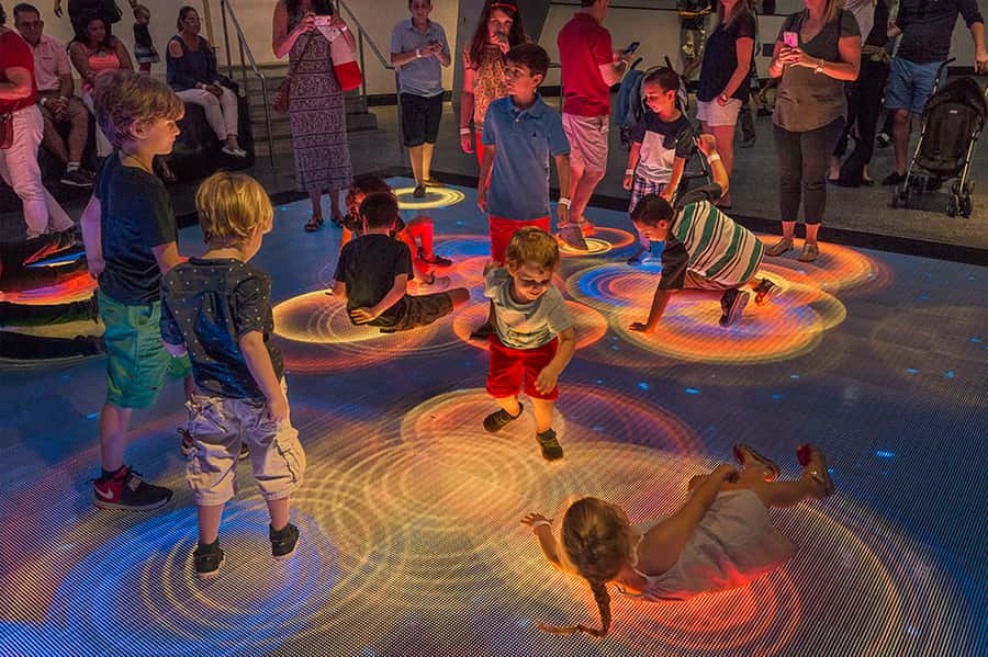 Miami: Frost Museum of Science and Planetarium Entry Ticket - Useful booking and timing advice