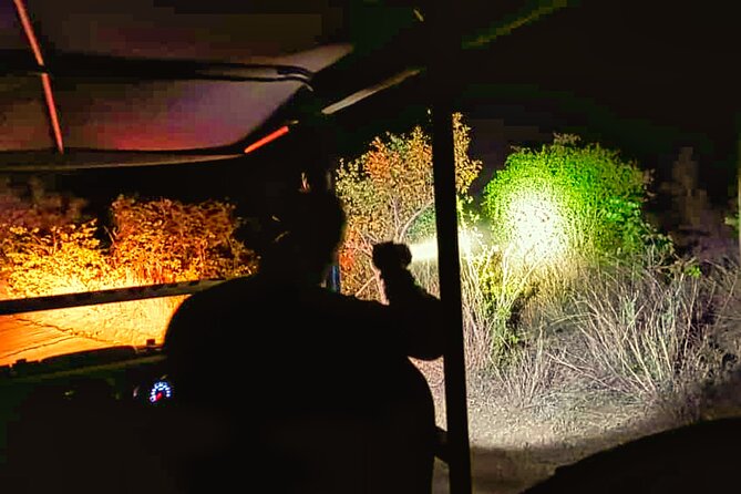 Moonlight Experience and Stargazing close to Victoria Falls - What is included, and why it matters