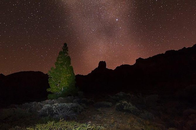 Mount Teide Night Tour: Stargazing, Dinner and Hotel Pick up - What the stargazing session is really like