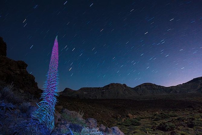 Mount Teide Night Tour: Stargazing, Dinner and Hotel Pick up - Who will enjoy this Teide evening?