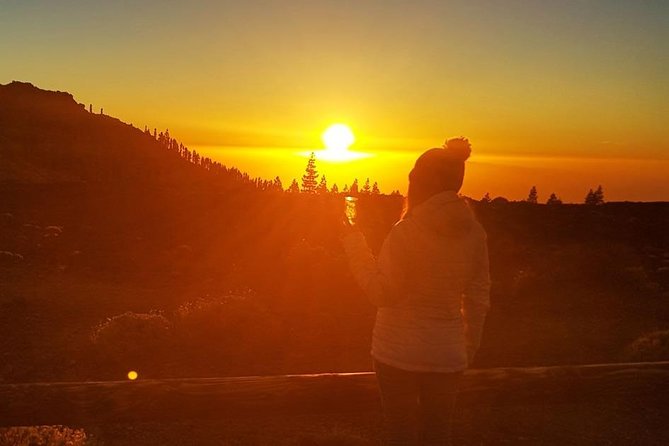 Mount Teide Stargazing with Dinner - The sky show: lasers, telescopes, and stories