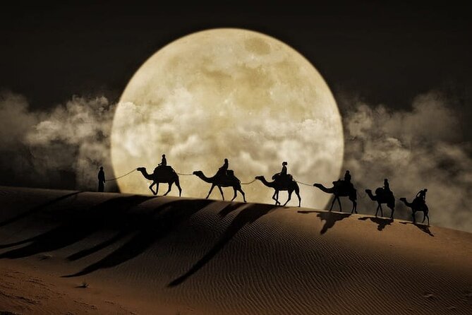 Night Desert Safari, Stargazing, Dune Driving & Inland Sea Visit - Key points to know before you book