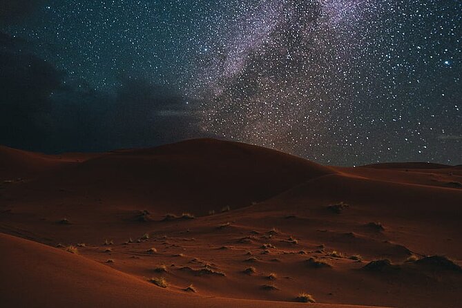 Night Desert Safari, Stargazing, Dune Driving & Inland Sea Visit - Camels, falcons, and the desert camp