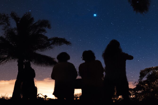 Night Sky Stargazing Tour in Punta Gorda Florida - What you might see in different seasons
