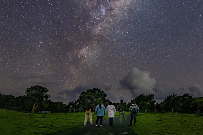Nocturnal Wonders Tawharanui Kiwi Spotting and Stargazing Tour - The twilight kiwi search in native bush