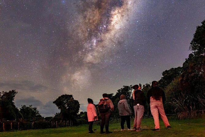 Nocturnal Wonders Tawharanui Kiwi Spotting and Stargazing Tour - What the three-hour format gives you