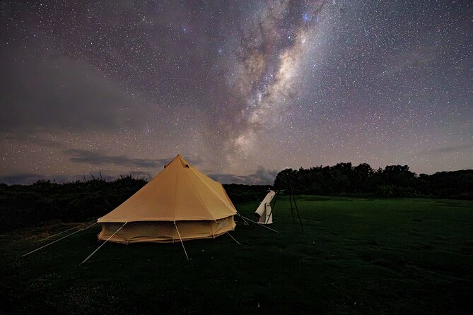 Nocturnal Wonders Tawharanui Kiwi Spotting and Stargazing Tour - Who will enjoy this night walk most