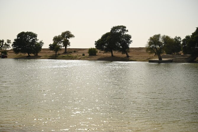 Non-Touristic Overnight Camel Safari with Stargazing Hidden Tour In Desert - What the $100 price includes