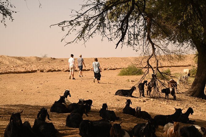 Non-Touristic Overnight Camel Safari with Stargazing Hidden Tour In Desert - Who should book this Jaisalmer safari?