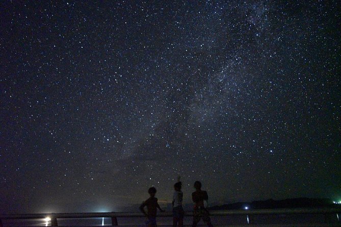 Okinawa Miyako Star Gazing & Subtropical Jungle Night Tour - A 90-minute night walk on Miyakojima