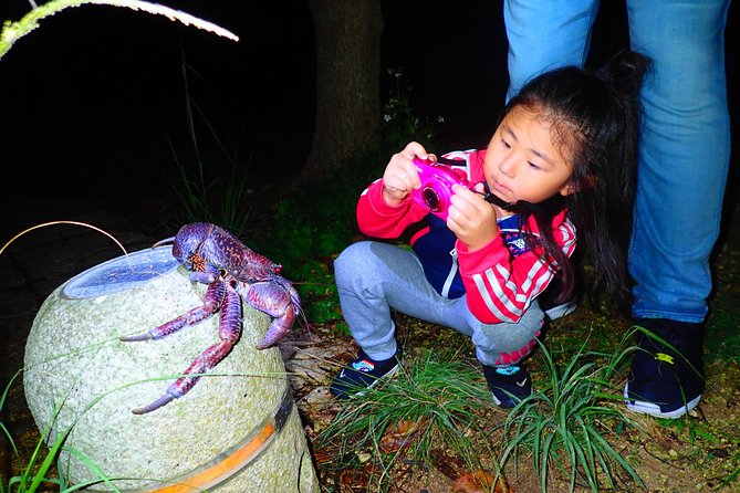 Okinawa Miyako Star Gazing & Subtropical Jungle Night Tour - Language and group size