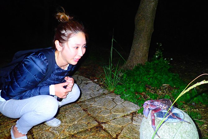 Okinawa Miyako Star Gazing & Subtropical Jungle Night Tour - Entering the subtropical jungle after sunset