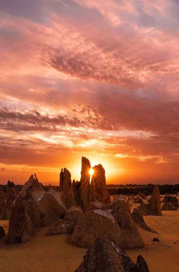 Perth: Pinnacles Desert Sunset & Stargazing with Dinner - Why this evening works so well