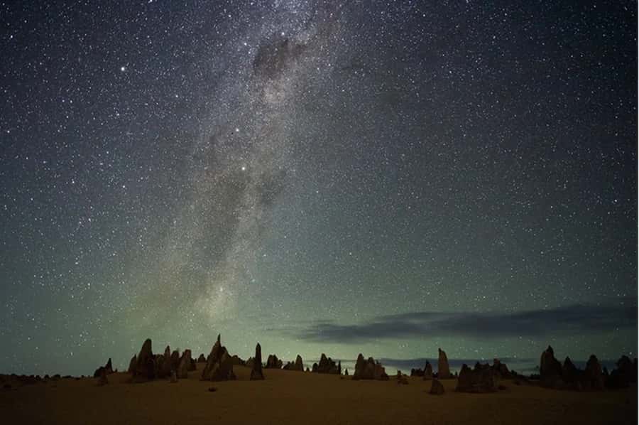 Perth: Pinnacles Desert Sunset & Stargazing with Dinner - Yanchep National Park and the first wildlife search