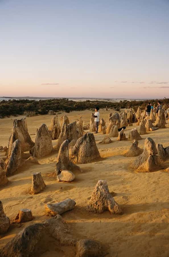 Perth: Pinnacles Desert Sunset & Stargazing with Dinner - Returning to the desert after dark