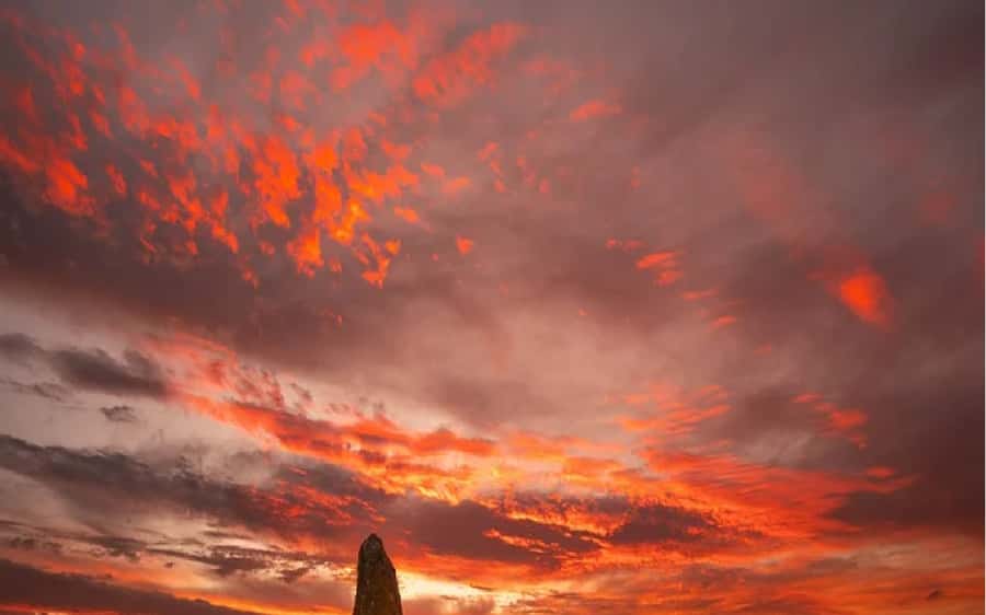 Perth: Pinnacles Desert Sunset & Stargazing with Dinner - The long road to Nambung National Park