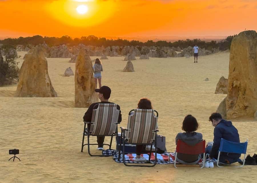 Perth: Pinnacles Stargazing, Sandboarding & Beach Kangaroos - Why this Perth day trip works so well
