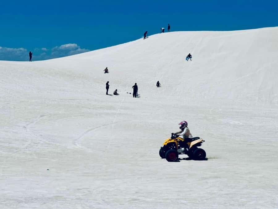 Perth: Pinnacles Stargazing, Sandboarding & Beach Kangaroos - Who will get the most from this experience