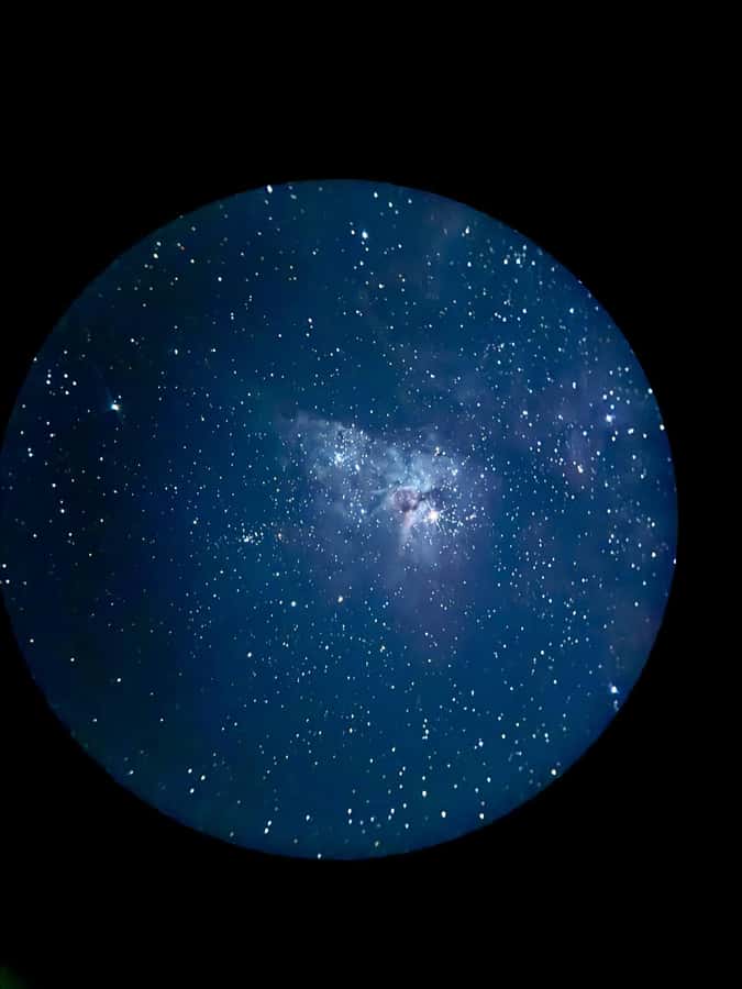 Perth: Pinnacles Stargazing, Sandboarding & Beach Kangaroos - Coastal views and a possible swim at Wedge Island