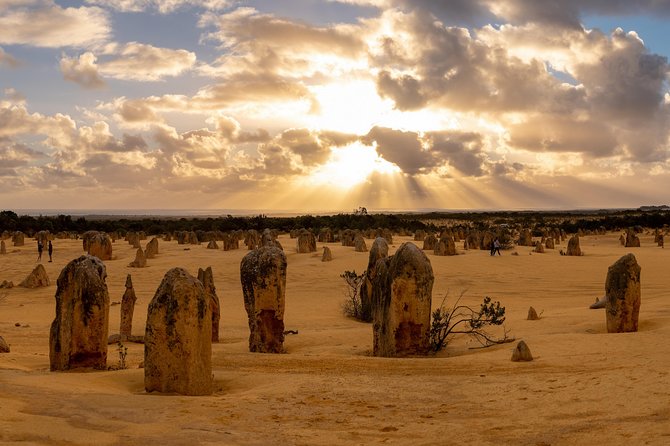 Pinnacle Desert Sunset and Night-time Stargazing Tour from Perth - Key points to know before you book