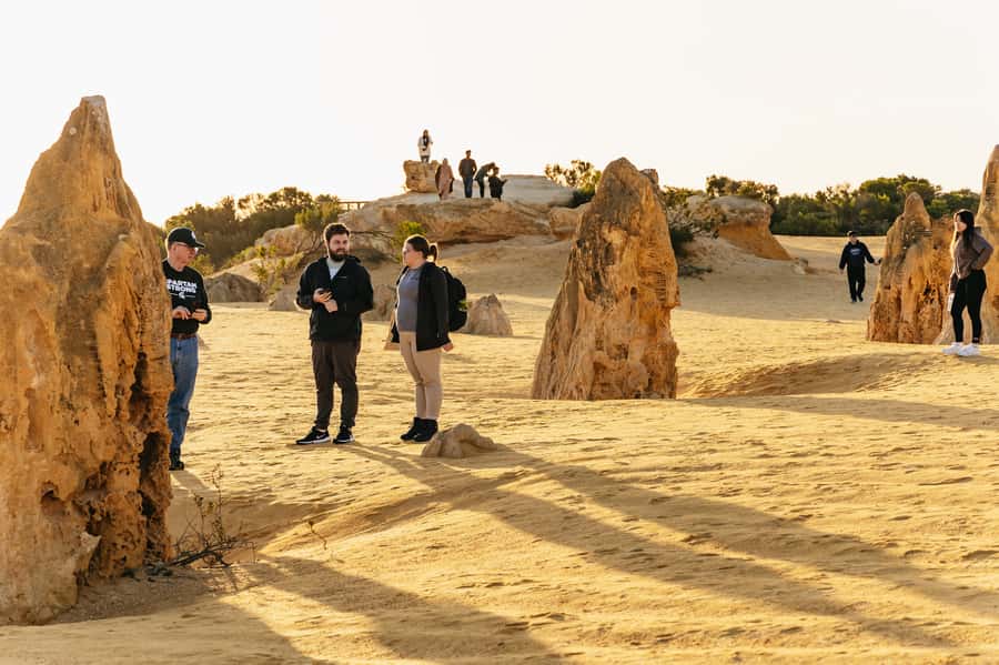 Pinnacles Desert: Sunset BBQ & Stargazing Tour +Sandboarding - Booking Advice and Final Verdict