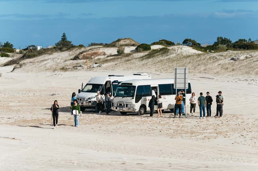 Pinnacles Desert: Sunset BBQ & Stargazing Tour +Sandboarding - The Long Ride Home to Perth