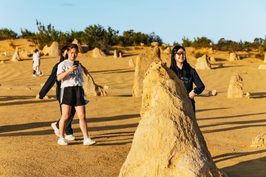 Pinnacles Desert: Sunset BBQ & Stargazing Tour +Sandboarding - Who Will Get the Most From This Tour