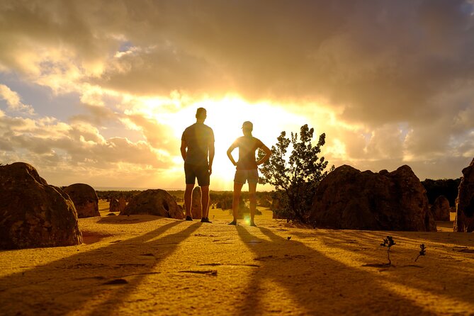 Pinnacles Desert Sunset Stargazing Adventure Tour from Perth - Picnic dinner after dark