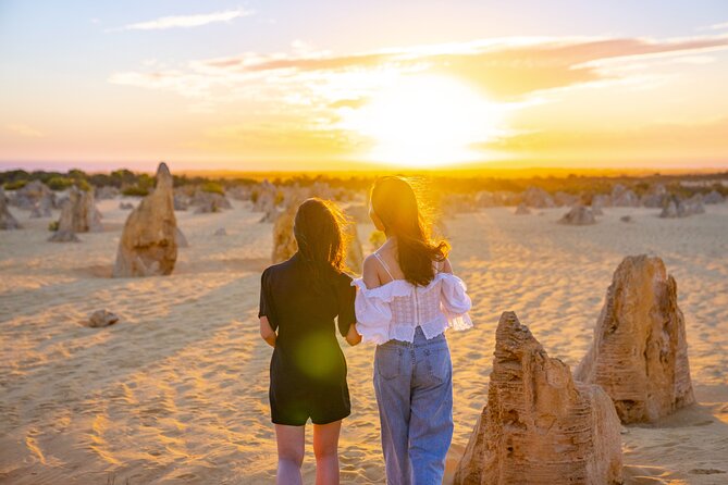 Pinnacles Desert Sunset Stargazing Adventure Tour from Perth - The long road north from Perth
