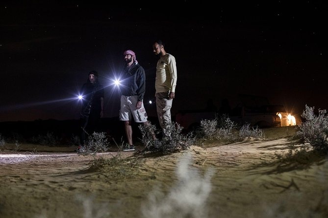 Private Night Vintage Land Rover Desert Safari & Stargazing - Who should book this Dubai night safari?