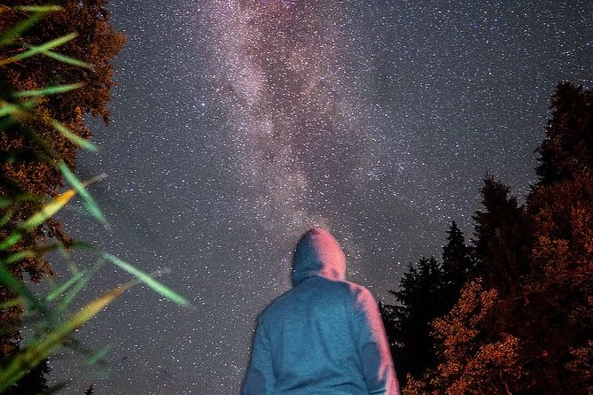 Private Stargazing - Sequoia National Park - What happens during the 90-minute session