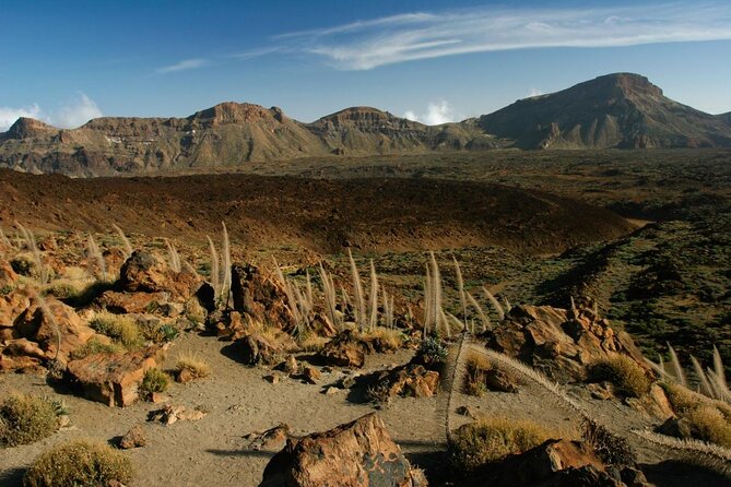 PRIVATE TOUR Teide National Park: Hiking and Stargazing - From Tenerife’s pine forest to Teide’s high slopes