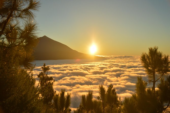 PRIVATE TOUR Teide National Park: Hiking and Stargazing - The winding road is part of the bargain