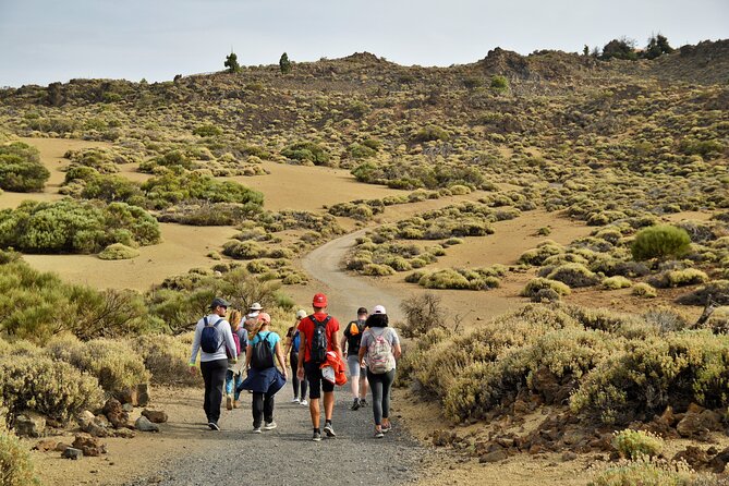 PRIVATE TOUR Teide National Park: Hiking and Stargazing - Walking back beneath the night sky