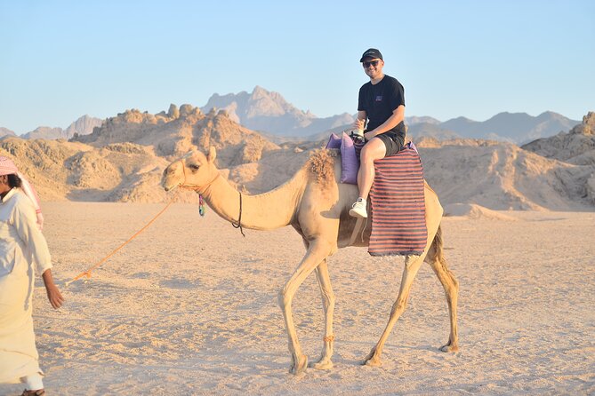 Quad Bike, Jeep, Camel, Sunset, Dinner and Stargazing in Hurghada - Sunset over the desert before dinner