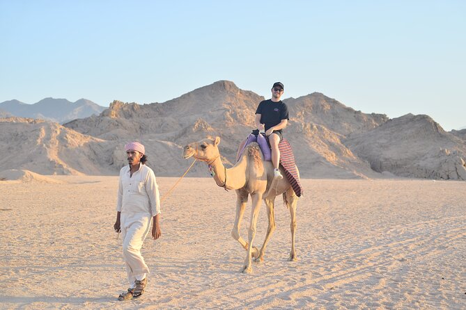 Quad Bike, Jeep, Camel, Sunset, Dinner and Stargazing in Hurghada - A generous Egyptian-style dinner