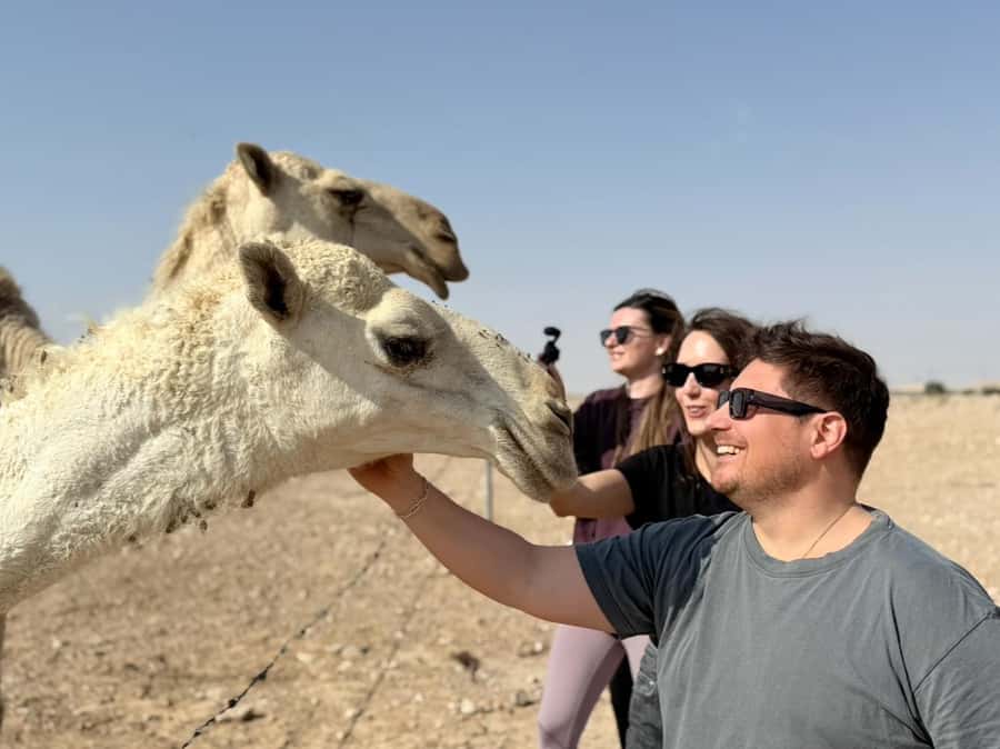 Riyadh: Edge Of The World, camels &Stargazing with 4x4 - Should you book it?
