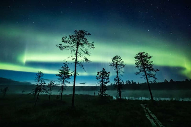 Rovaniemi: Horse Sleigh Ride under the Night Sky - What the Horse Sleigh Ride Feels Like
