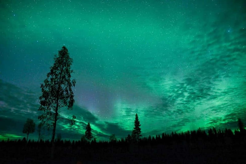 Rovaniemi: Horse Sleigh Ride under the Night Sky - The Bonfire Stop in the Snow