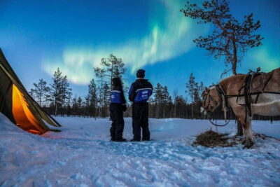 Horse Sleigh Ride under the Night Sky