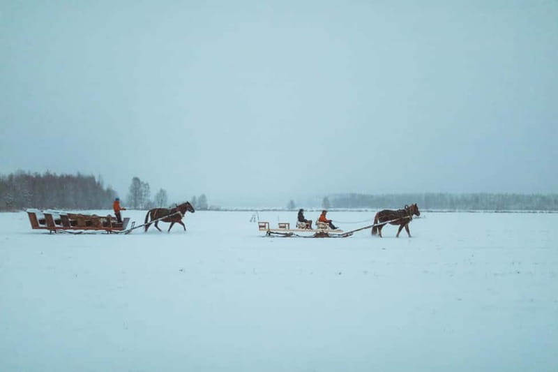 Rovaniemi: Horse Sleigh Ride under the Night Sky - Getting to Apukka From Rovaniemi