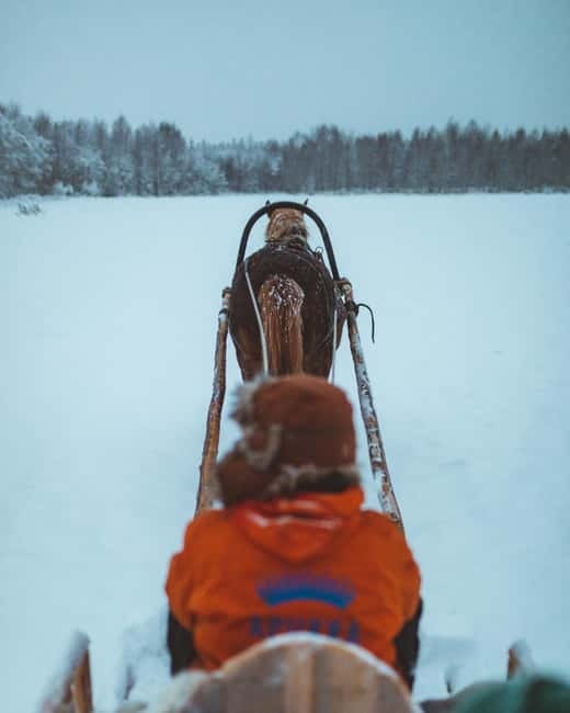 Rovaniemi: Horse Sleigh Ride under the Night Sky - Should You Book the Horse Sleigh Ride?