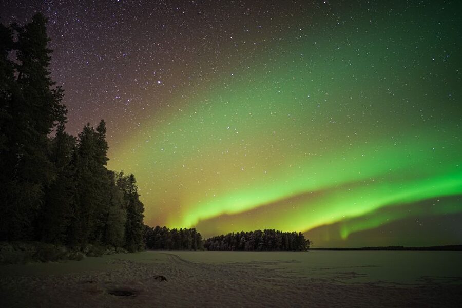 Rovaniemi: Night Sky lappish Barbecue - A Campfire Under Rovaniemi’s Northern Sky
