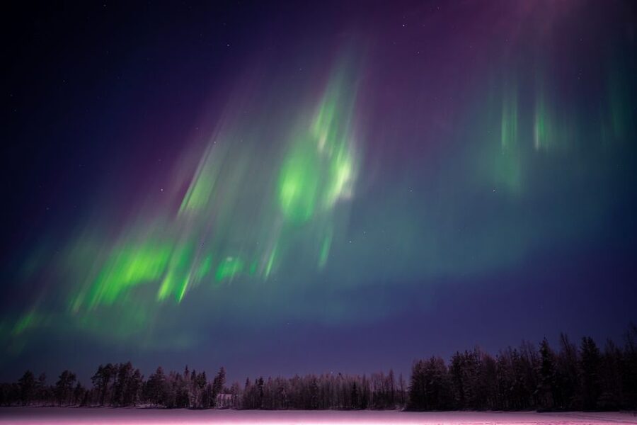 Rovaniemi: Night Sky lappish Barbecue - Who Will Enjoy This Most